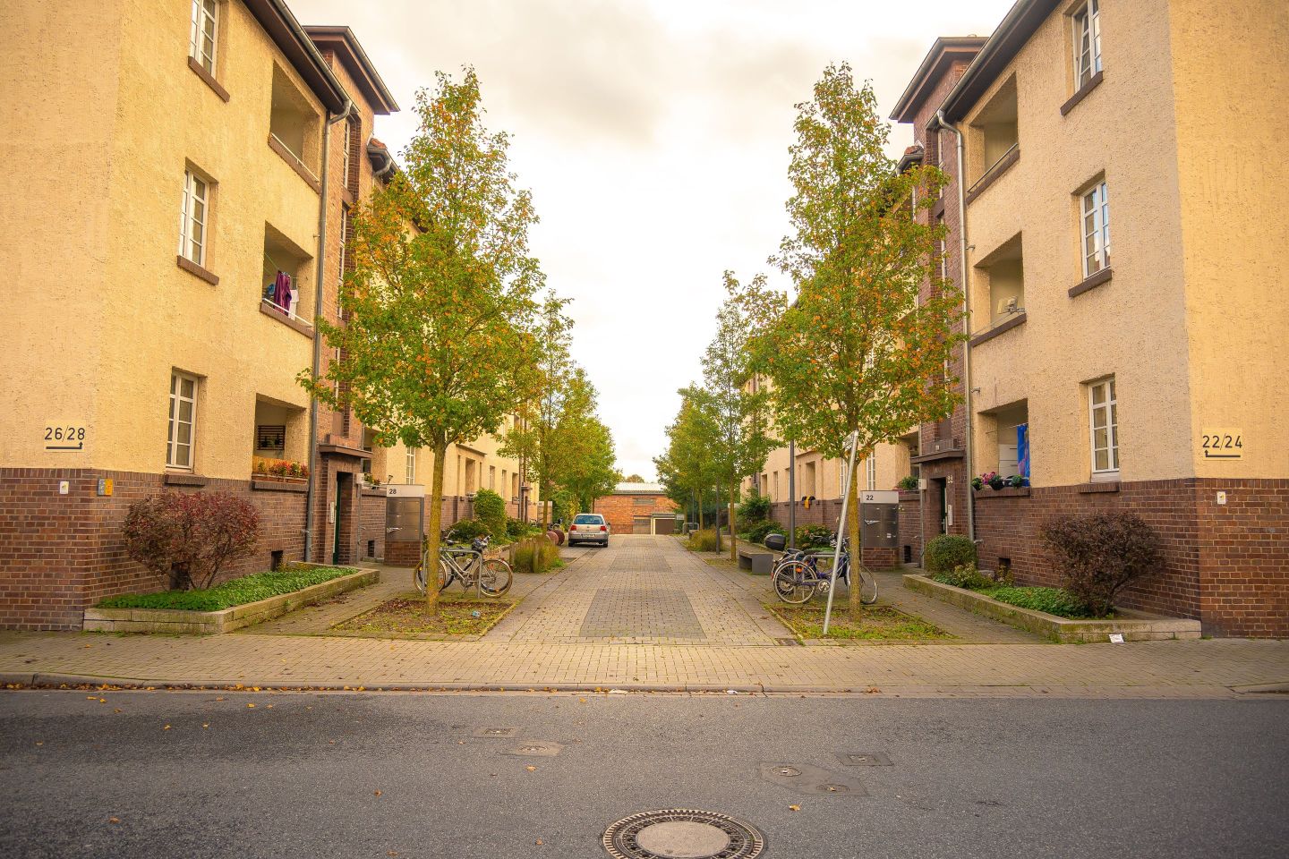 Wohnstraße mit Mehrfamilienhäusern und Bäumen